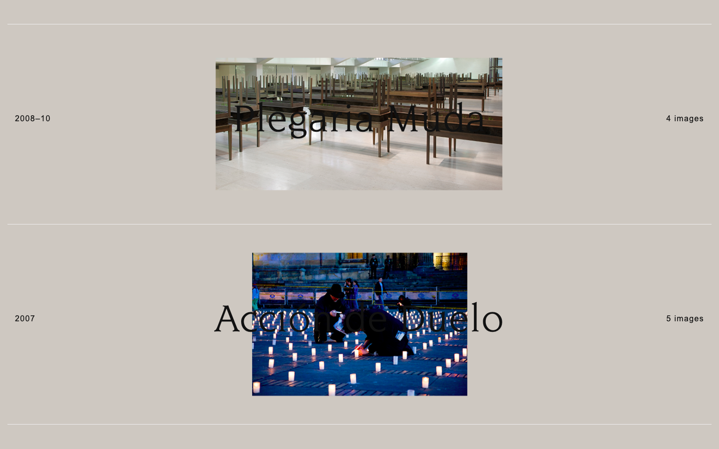 Screenshot of Doris Salcedo exhibition website